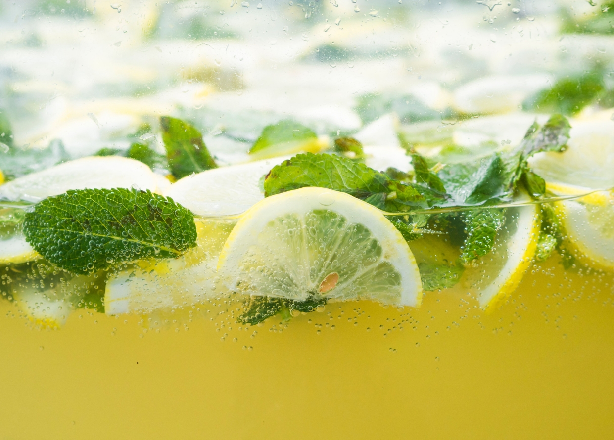 HAUSGEMACHTE LIMONADEN
